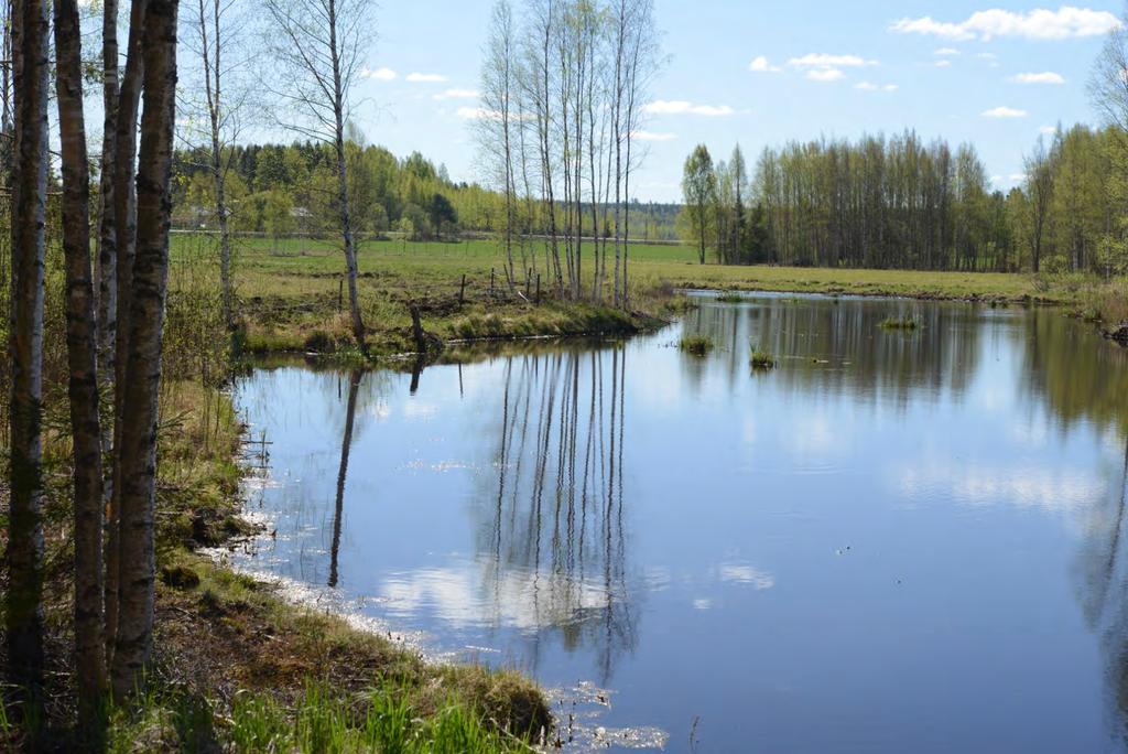 13 2015 kaivettu ruoppausallas 3 itärannan mutapenkereeltä eteläkaakon suuntaan toukokuussa 2017.