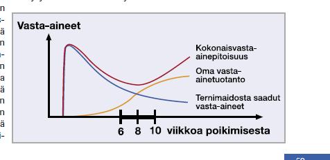 Immuniteetin kehittyminen Suuntaa antavia, paljon vaihtelua, yksilöllistä X