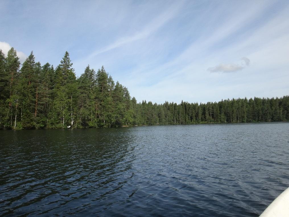 2 / 5 Heinäkuun näytteenoton tarkoituksena oli mitata Vaakkoin perustilaa ilmentäviä vedenlaatuominaisuuksia.