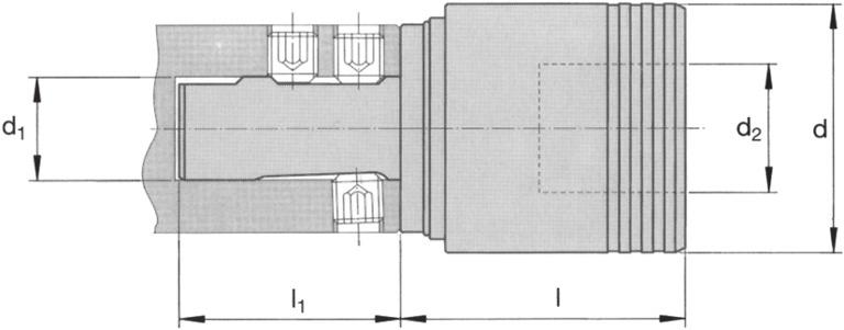 KIERTEITYSISTUKKA MS-Modular system Pikavaihtoistukka Weldonvarrella BILZ WFLC/MS-Modular Weldonvarsi IN1835 Malli/varsikoko Aksiaalijousto