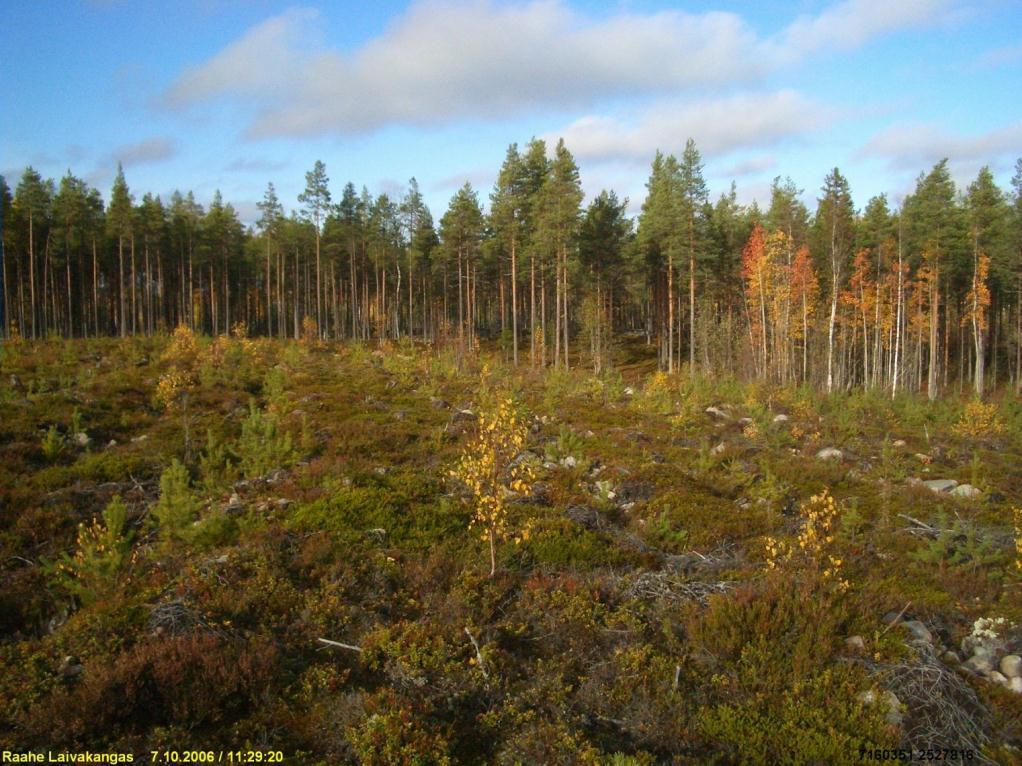 Alueen keskellä, itäreunalla oleva röykkiö Röykkiöalue