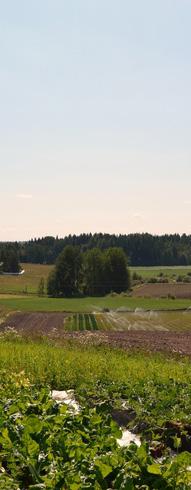 Luomuviljelty peltoala oli 8,7 % kaikesta Suomen peltoalasta.