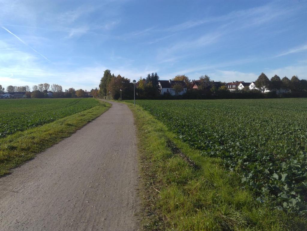 Kuva 3. Asuntoni löytyi siis Garchingista, joka sijaitsaa n 10 km Münchenin keskustasta. Garchingissa sijaitsee TUMin toinen kampusalue. Tässä kuva koulumatkaltani kaalipeltojen läpi.