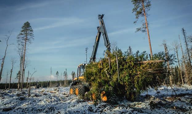 Valikoima on kattava: kaikki eri kokoluokkien normaalit PONSSE harvesteripäät soveltuvat joukkokäsittelyyn joko sellaisenaan tai haluttaessa vähäisillä lisävarusteilla.