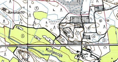 Kanakallio (kalliokumpare) 11.
