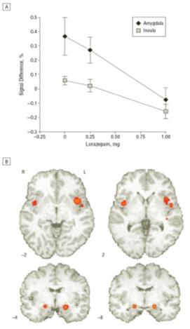 Arch Gen Psychiatry 2005;62:282-288 Yhteenveto