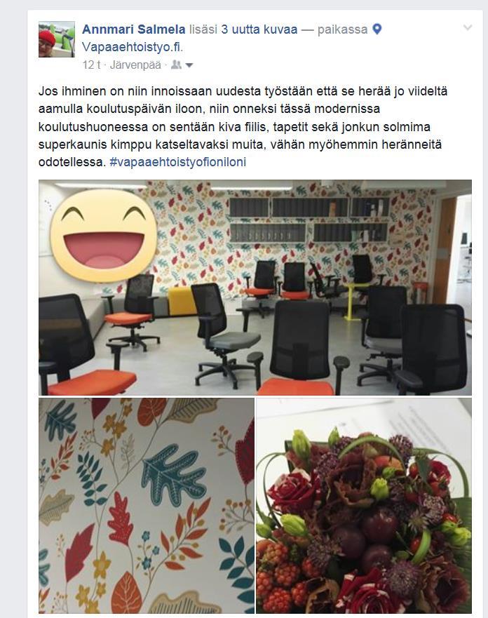 Et ole yksin Ammattilaiset Vapaaehtoiset