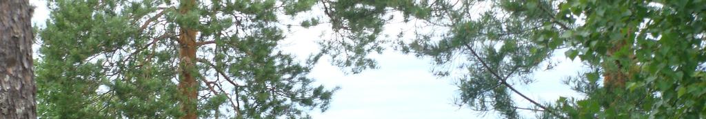 Vastaanottaja Jyväskylän