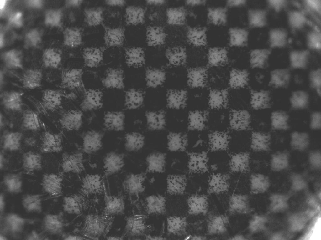 41 Kuva 11. Quantum Mark IV -laboratoriosekoittimen kuvausyhteestä otettu tarkennuskuva. Yksittäisen neliön sivun pituus on 0,17 mm.