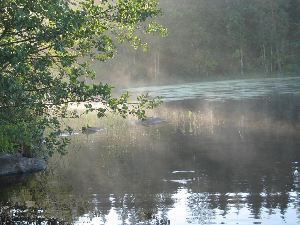 Meillä on tavallinen