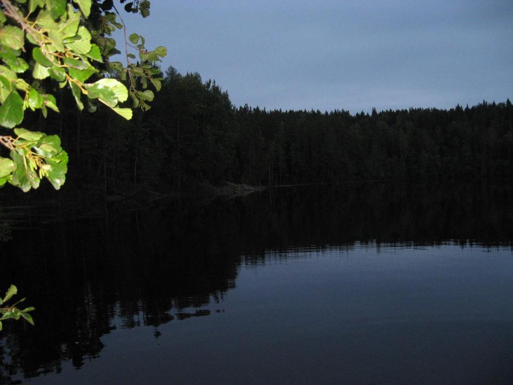 Ulkonäköpaineita on, pitää näyttää joltakin.