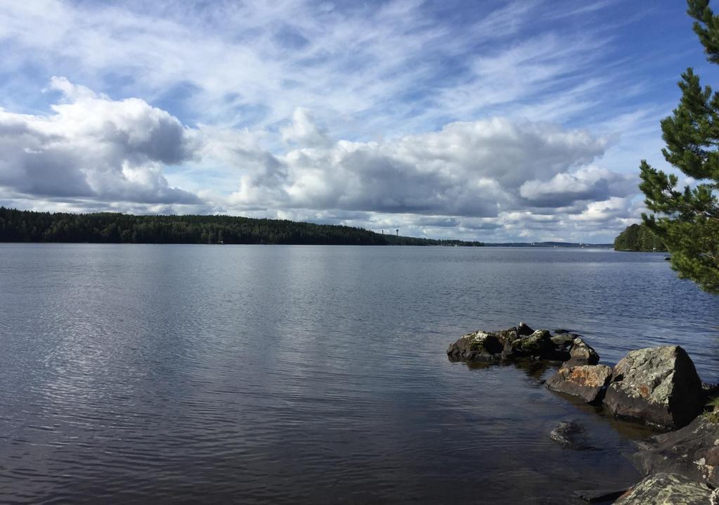Toisten arvostelu satuttaa.