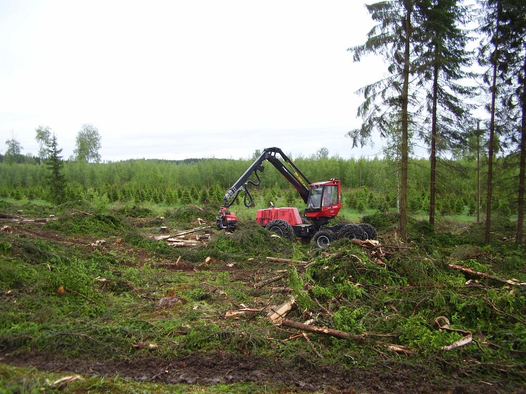 Levittääkö metsänhoito juurikääpää?