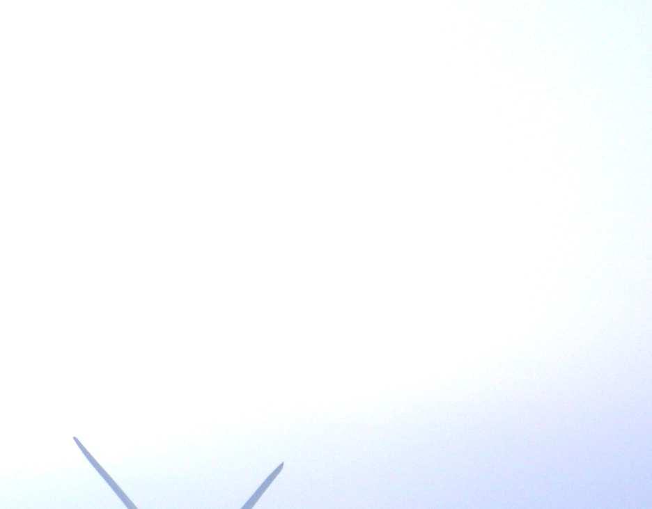 1 LAPIN LIITTO