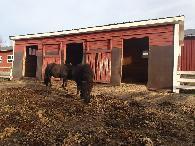 (Metsähallitus) o Kevät -18; Eläinsuoja kolmelle hevoselle Rautalammilla (Rautalammin Ratsastuskeskus)