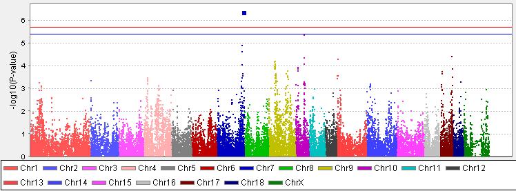 Näiden SNP:iden alleelivaikutus oli 4,05 4,16 päivää. Kuva 7. P-arvojen (-log10) jakauma kromosomeittain toisen porsimisvälin (SFI) suhteen.
