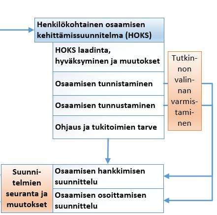 Yksilöllinen opintopolku Osaamisen tunnistaminen ja tunnustaminen Keskeistä: Aiemmin hankitun osaamisen tunnistaminen ja tunnustaminen ovat HOKS:in laadinnan keskeiset elementit.