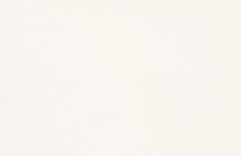 Tiber 961 valkoinen matta maalattu sileä mdf-ovi TH White Matt 25x40 Super White