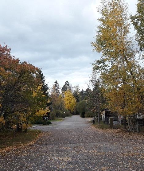 Kirkon korttelit Papinmetsä Kirkkopuisto
