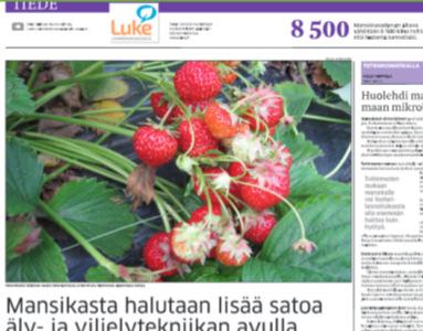 lisää tehoa viljelyyn