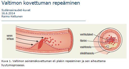 toksikologia: