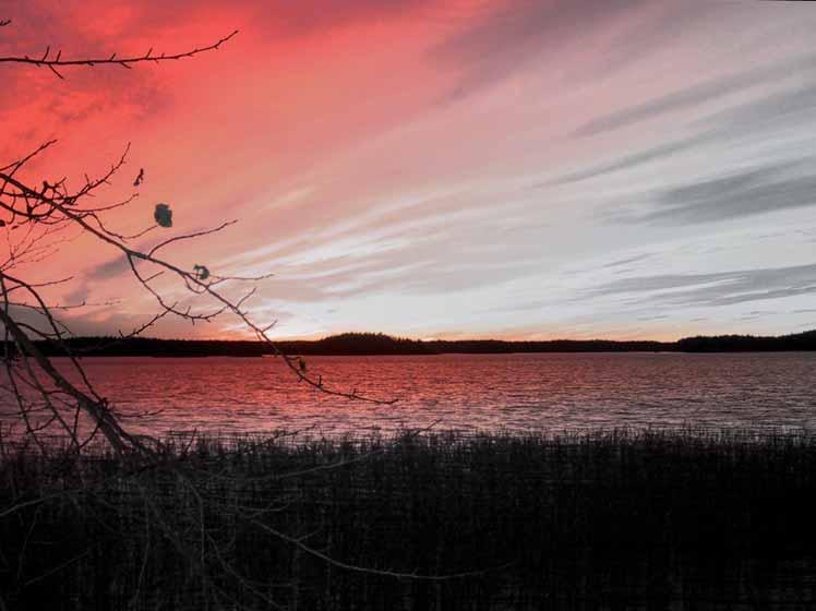 Larox-konserni Konsernin emoyhtiö Larox Oyj sijaitsee Lappeenrannassa. Larox Oyj:n B-sarjan osake noteerataan Helsingin pörssissä.