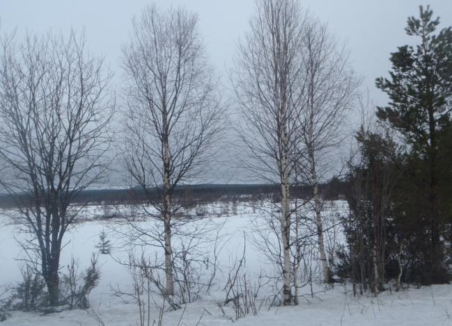 Liittyminen sähköverkostoon selvitetään tarkemmin mahdollisen hankesuunnittelun alussa. Jatkosuunnittelussa on erityisesti huomioitava maisema- ja linnustovaikutusten vähentäminen.
