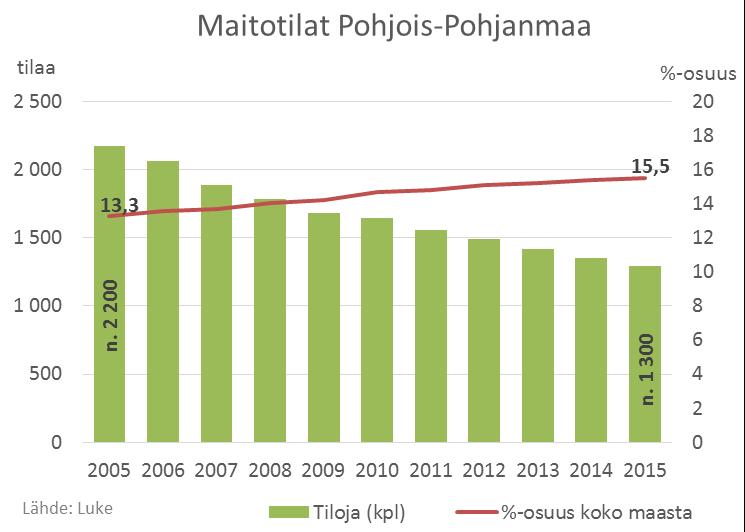 Maidontuotanto