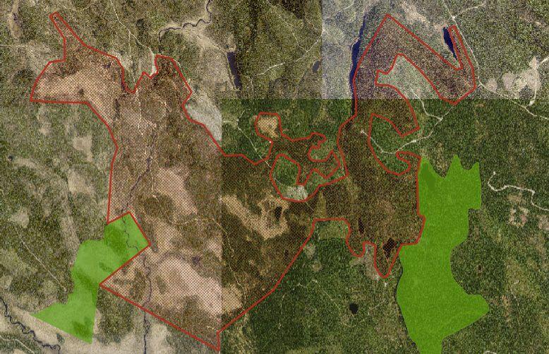 Tietolähteet Metsäntutkimuslaitoksen kasvupaikkatyyppitiedot 2013, puuston ikätiedot 2013 ja kasvupaikan VMI-luokitus 2013.