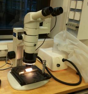38 (49) Kuva 48. Stereomikroskooppi Tunkeumanestetarkastuksen löytö tarkastettiin stereomikroskoopilla (kuva 48). Tunkeumanestetarkastuksessa löydetty särö osoittautui makrosäröksi (kuva 49).