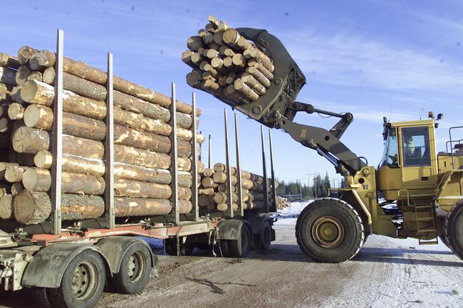 Metsäteollisuuden muutos Suomessa Paino- ja kirjoituspapereiden kulutus laskee (METLA 2009) Vuoteen 2020 mennessä teollisuusmaiden paino- ja kirjoituspaperin kulutus vähentynee 35 % ja kehittyvien