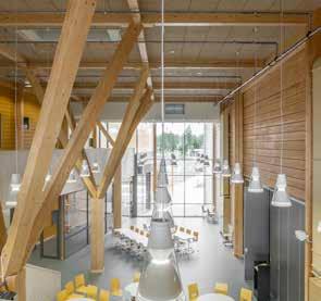 UPM Timber
