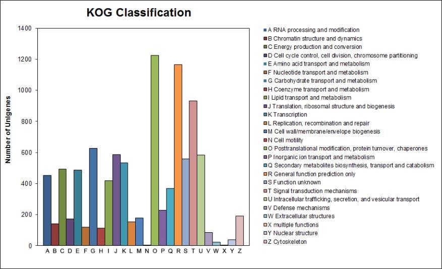 classes Three highest proportion of unigenes were clustered in Posttranslational modification, protein turnover, chaperones, General function prediction only, and Signal transduction mechanism 7905