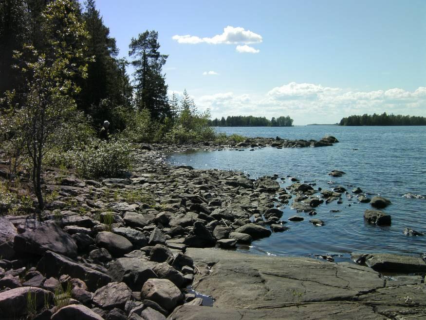 4 Kuva 1. Petäjäniemen kärkialuetta. Vesialue sisältyy Kiveslahden Natura alueeseen. 3.2 Vesistöt Suunnittelualue on niemi ja Oulujärveen rajoittuva.