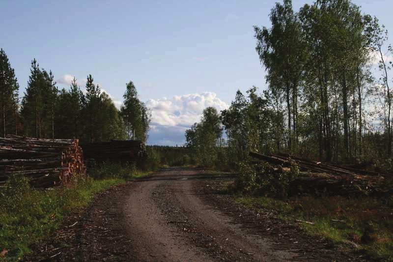 LUONTOSELVITYS 3 