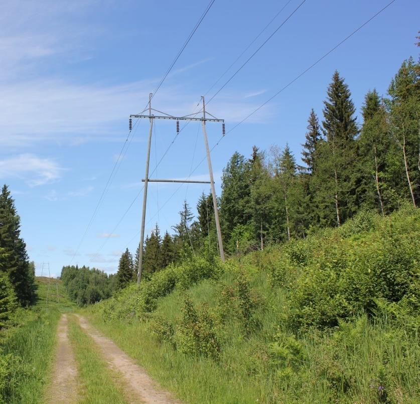 21 (172) Kuva 4-14. Esimerkki yhden virtapiirin 110 kv ilmajohdosta. Johtoaukealla on yleensä puun taimia ja pensasmaista kasvillisuutta. Johtoaukea pidetään puustosta vapaana.