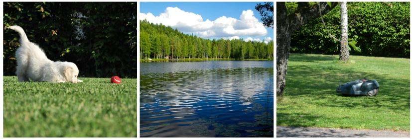 hyvän taloudellisen ja sosiaalisen asemani. Kuulun niihin, joiden mielestä huonosti palkatut työt kannattaa antaa roboteille ja kehittää ihmisille uudenlaisia töitä.