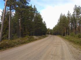 Ratsupolusta 1600 luvulla kehittynyt maantie on kulkenut Turusta Tukholmaan Pohjanlahden ympäri. Rantatie on ollut Pohjanmaan tärkein tie ja Lapin läänin alueella pitkään ainoa maantie.