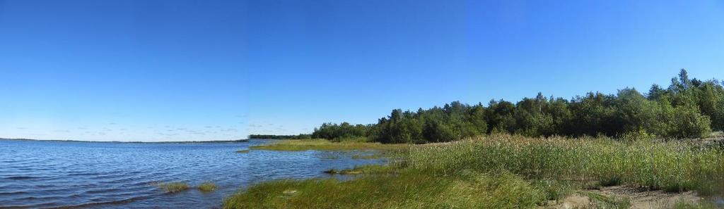 TUOMILAHTI 2 Kuva 17.