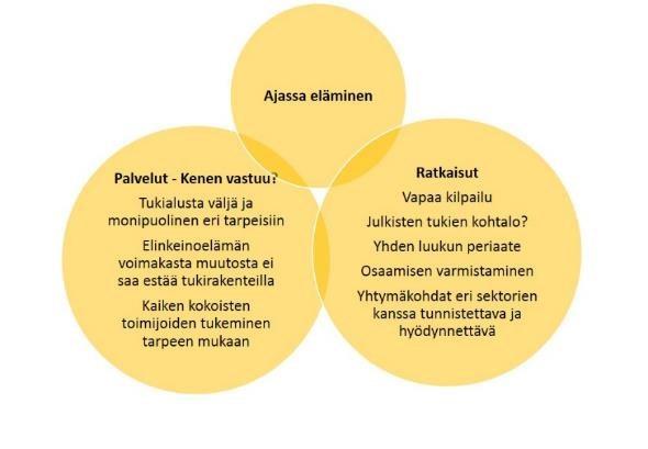 Kuvio 10. Elinkeinojen kehittämisen mahdolliset ongelmakohdat.