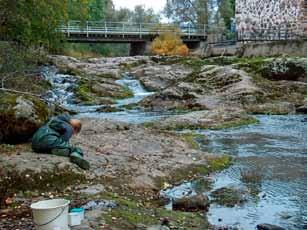 Kuva 3. Sjundbynkosken (SBK) veden määrän- ja korkeuden vaihtelua eri vuosina. Yllä runsaampi virtaama 8.10.2009 ja alla hitaampi virtaama 6.10.2006. Kuvat on otettu pohjaeläinnäytteenoton yhteydessä.