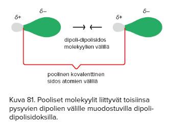 Dipoli-dipolisidokset Muodostuvat poolisten