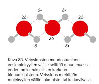 Vetysidos on