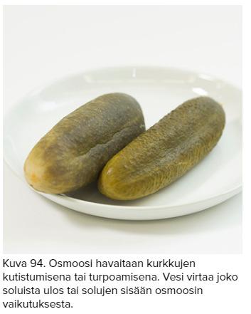 Osmoosi Voi tehdä lisäksi