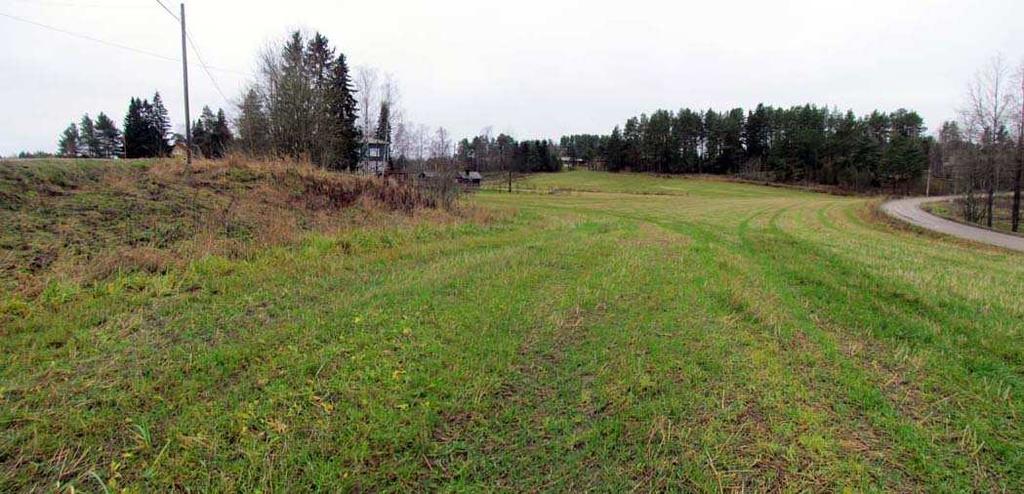 Pellolla oli kuitenkin leveydeltään noin 1 m olevia traktorin ajouria, joita pystyttiin pintapoimimaan kohtuullisin havainto-olosuhtein.