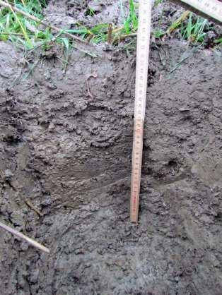 Koekuoppa 2 0 30 cm peltokerros (savimulta) 30 40 cm savi