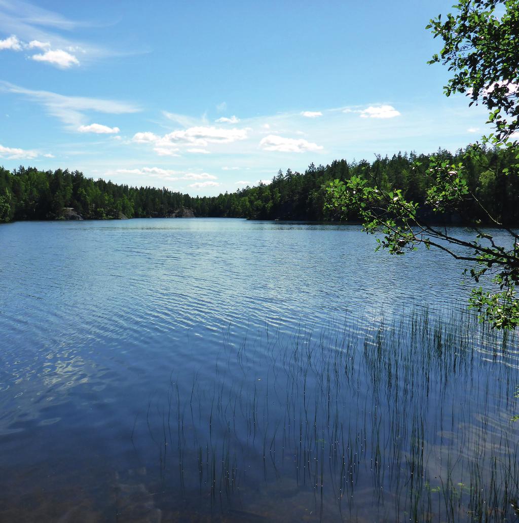 Raportteja 55 217 Uudenmaan järvien kasviplanktonlajisto