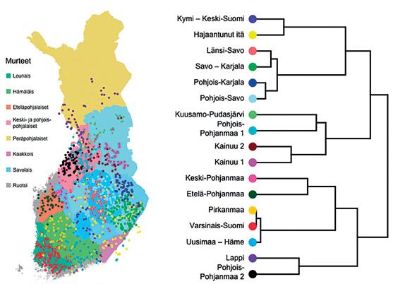 TUTKIMUKSESSA TAPAHTUU Suomen lähihistoria on kirjoitettu geeneihimme Suomalaisten perimä on kartoitettu ennennäkemättömän tarkasti.