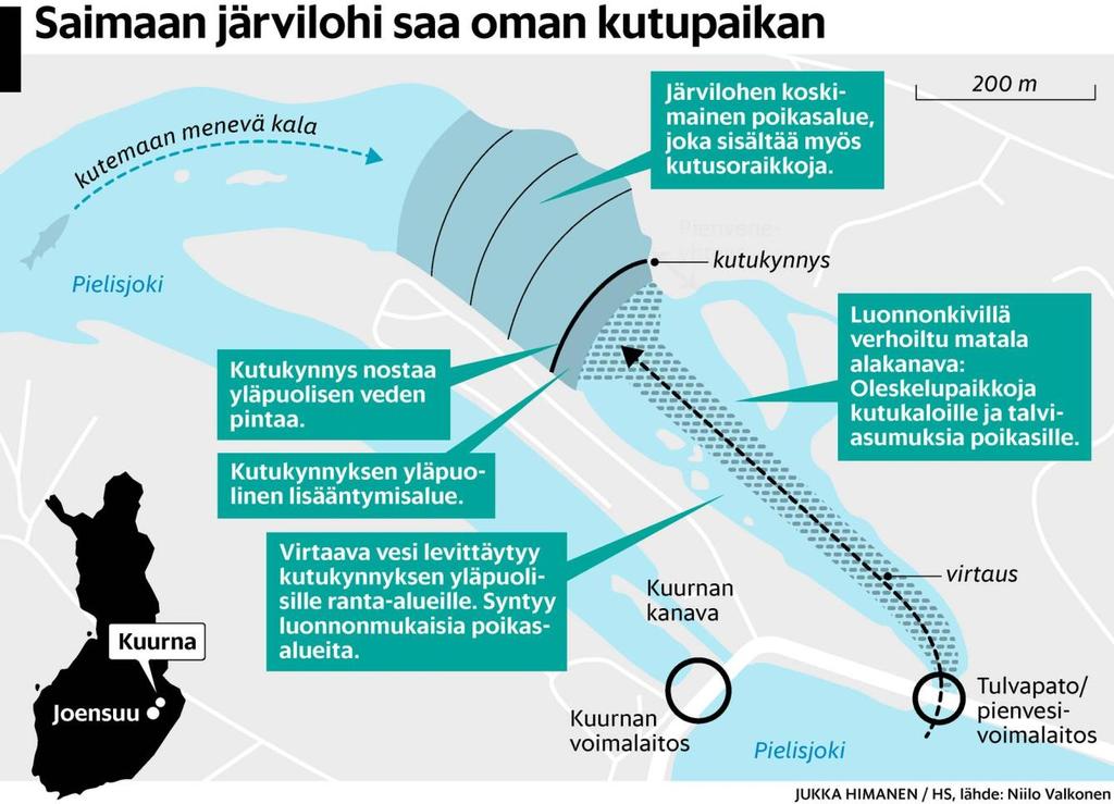 Pielisjoen kärkihankesuunnitelma