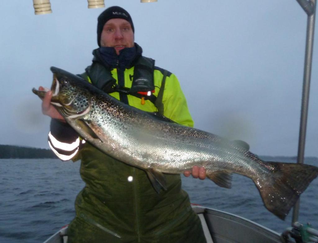 Janne Mertanen: järvilohi 10,2 kg